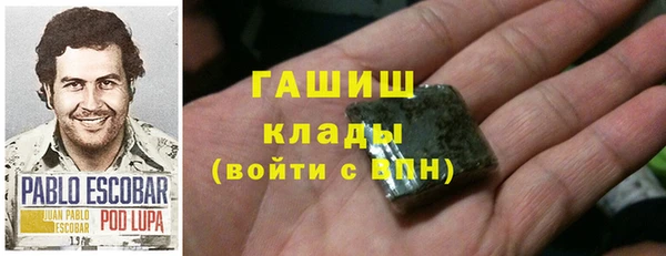 прущие грибы Зеленодольск