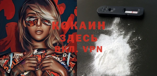 прущие грибы Зеленодольск