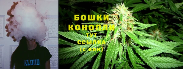 шишки Хадыженск
