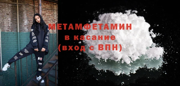 прущие грибы Зеленодольск